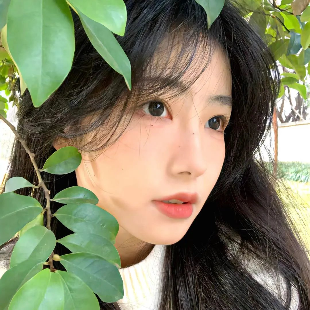 和歌子酒第六季