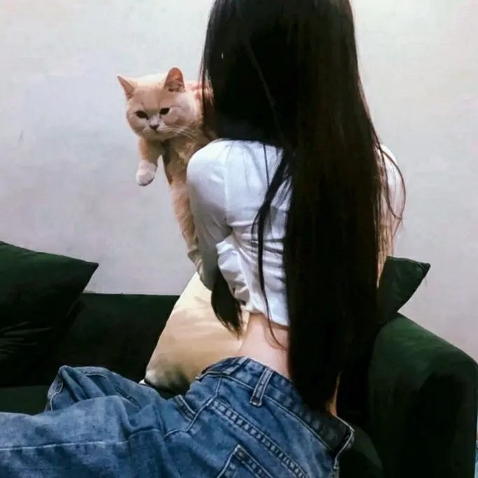玛丽苏遇上杰克苏